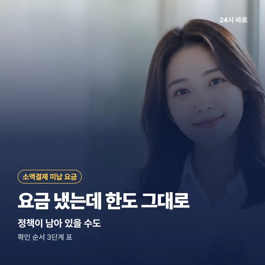소액결제현금화 요금 냈는데 한도 그대로|정책이 남아 있을 수도|확인 순서 3단계 표 24시 바로