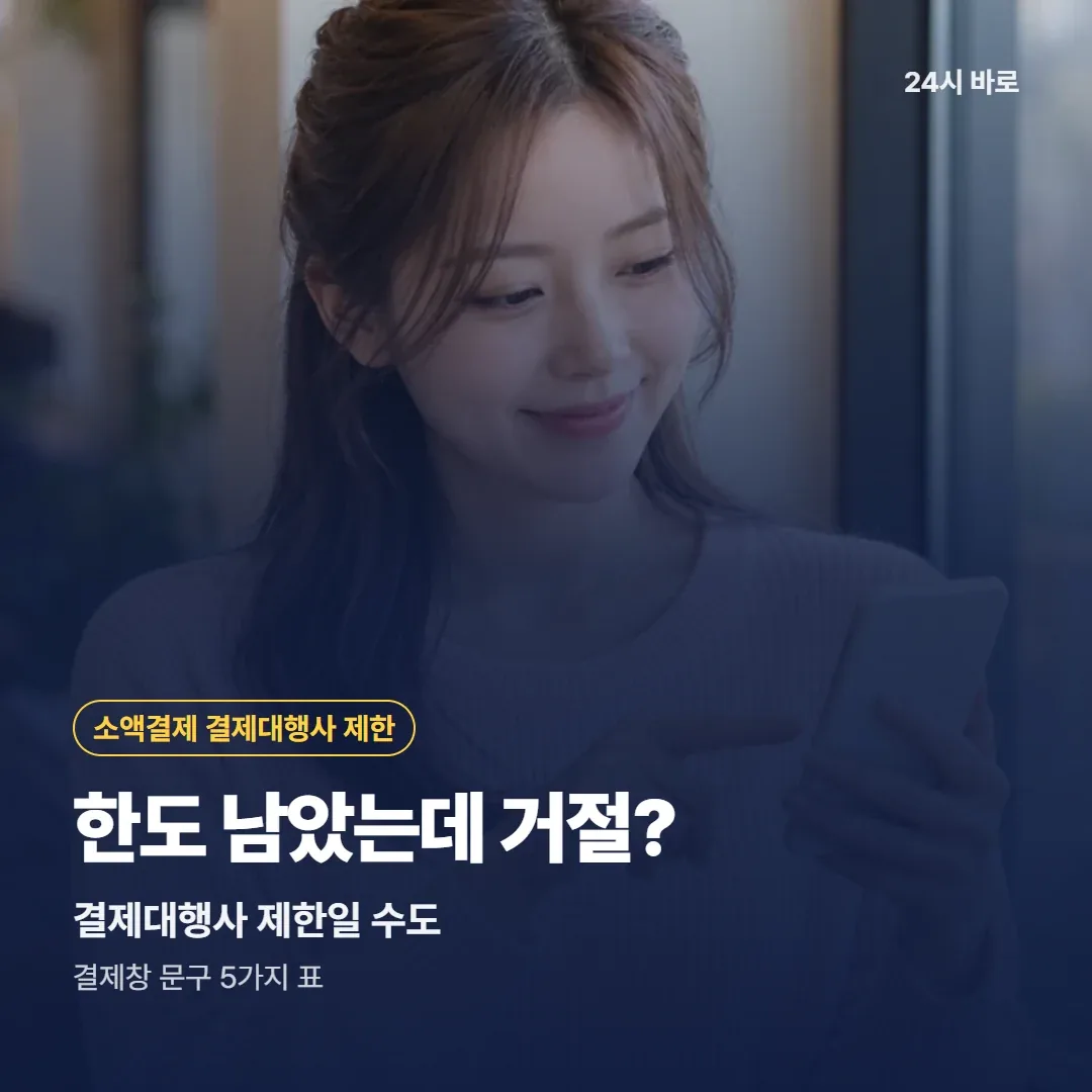 한도 남았는데 거절?|결제대행사 제한일 수도|결제창 문구 5가지 표