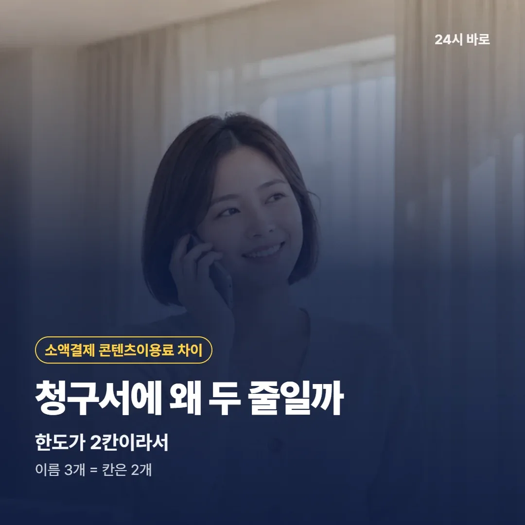 소액결제 정책 청구서에 왜 두 줄일까|한도가 2칸이라서|이름 3개 = 칸은 2개 24시 바로